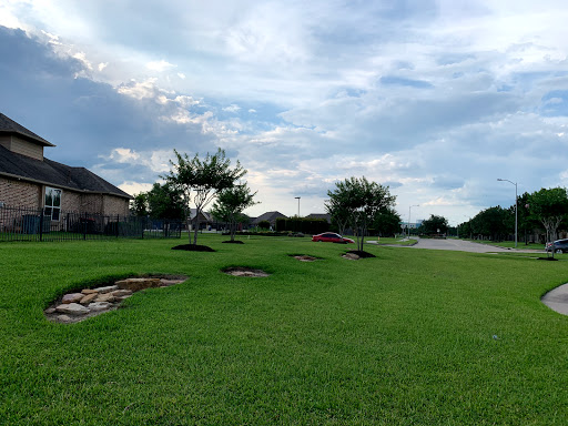 Community Lake - Visual
