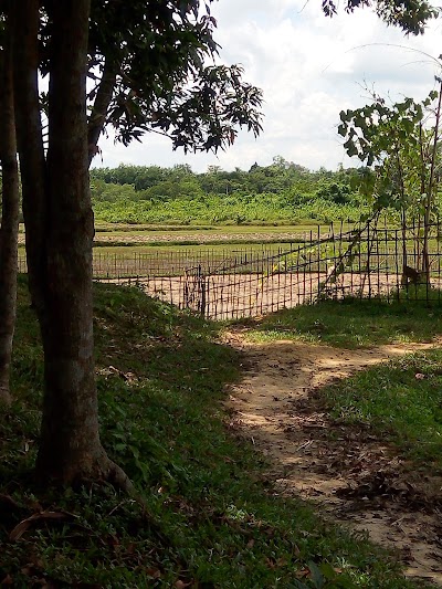 Photos of সুবার বাজার কেন্দ্রীয় জামে মসজিদ