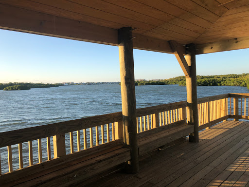 Naples Gulf Access Homes for Sale - Thumbnail