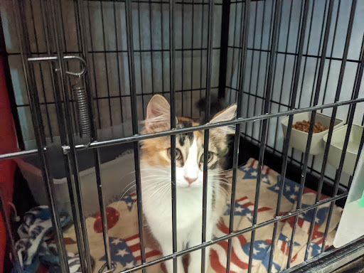 Columbus Humane - Visual