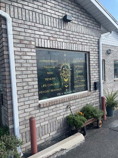 The New Earth Healing Center
