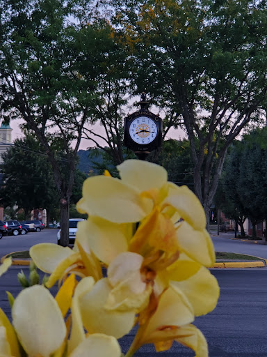 Centennial Clock - Visual
