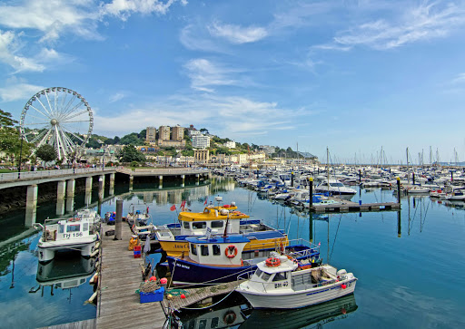 Unique Devon Tours - Visual