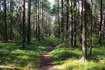 Photos of Lahemaa National Park