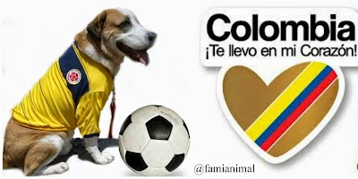 Photos of Famianimal Tienda de mascotas