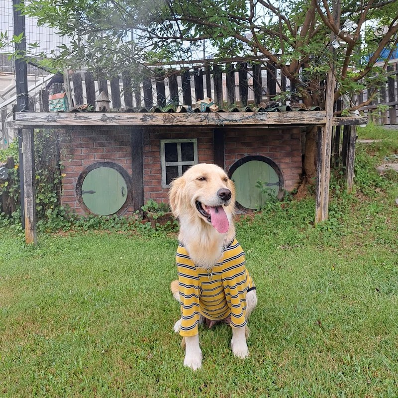 ドッグハウスRASA 宮若店