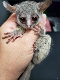生きものや 若家 九州支部