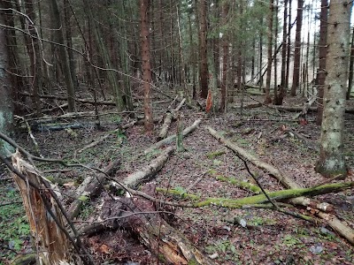 Photos of Loosalu raba matkarada
