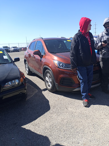 Corpus Christi Police Impound - Thumbnail