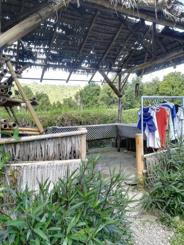 Dayang Rice Terraces