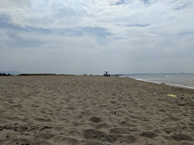 Tale Beach