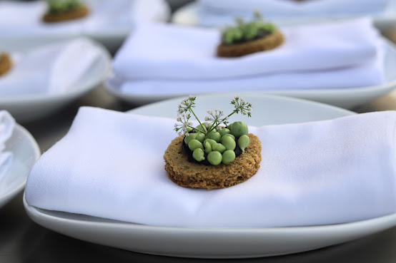 Collective Retreats Governors Island by null