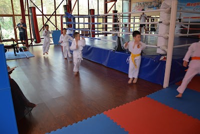 Photos of Meibukan martial arts club