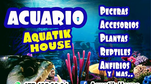 Aquatik House - Thumbnail