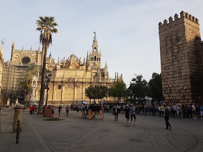 Photos of Hotel Palacio Alc&aacute;zar