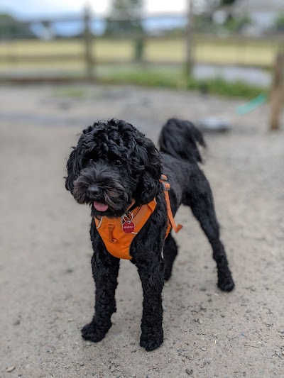 Magnolia off leash dog park