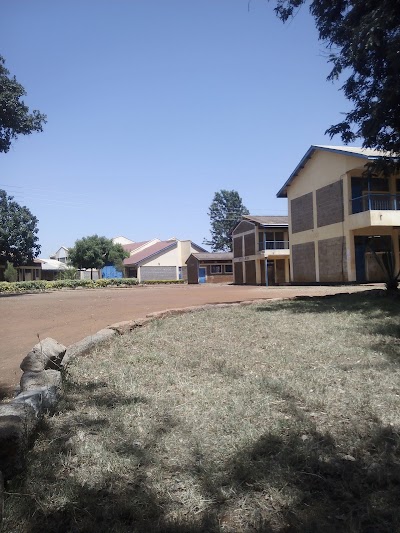 school
