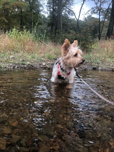 Hickory Campground