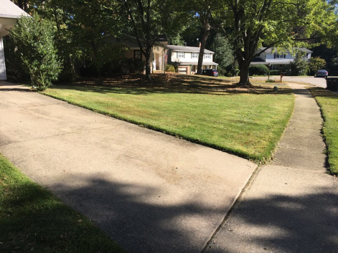 Harold Guzman’s Landscaping