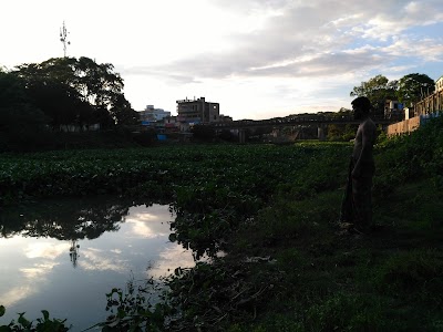Photos of Charigram Bazar