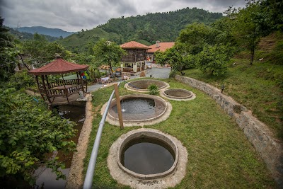 Photos of Babalık Doğal Yaşam Konağı