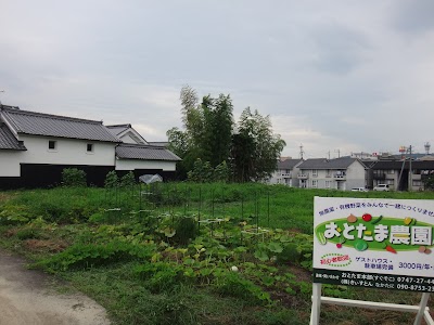 農業法人(株)おとたま農園