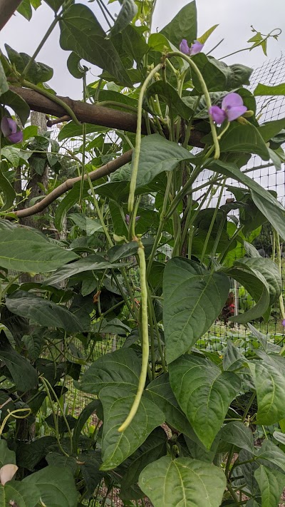 West Side Community Gardens