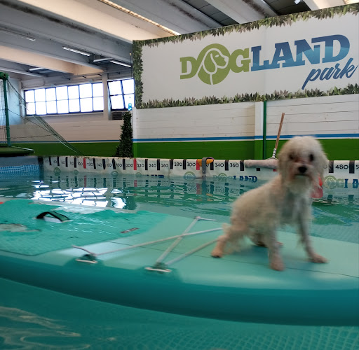 Dogland Park Padova - Thumbnail