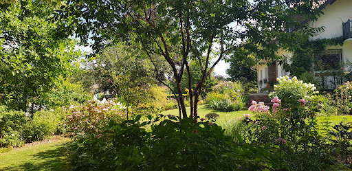 Ô Jardin Paisible - Thumbnail