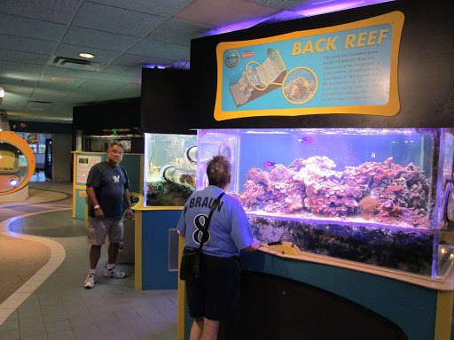 Aquatic Systems Consultants - Thumbnail