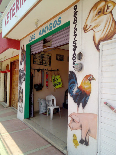 Veterinaria los amigos c15