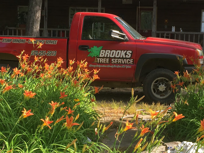 Brooks Tree service