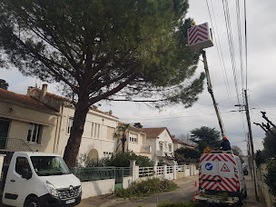 Photo n°17 de sos nacel à Déols (Service d'élagage)