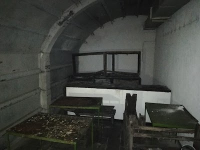 The cold war tunnel