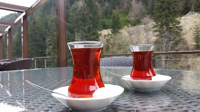 Photos of Zigana Yer Sofrası