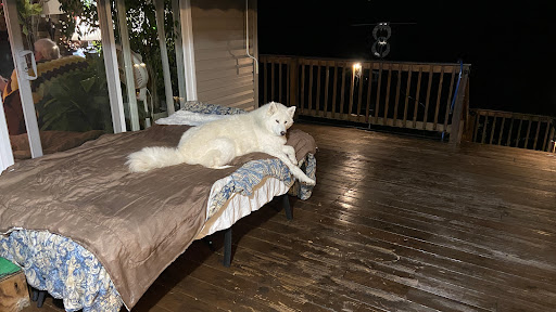 Whispering Pines Veterinary Services - Greenville - Thumbnail
