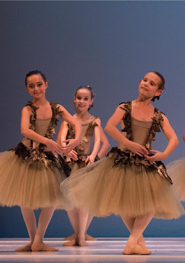 Centrodanza Isadora Gallery - Italy