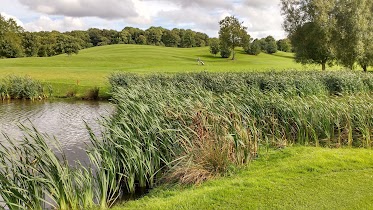 Ardee Golf Club