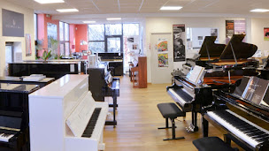 Photo n°20 de Pianos Parisot à Ramonville-Saint-Agne (Service d'accordage de pianos)