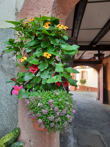 Photo de AMMERSCHWIHR à Ammerschwihr (Unknown)