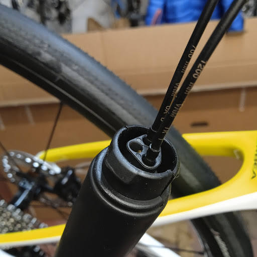 Bici Grilli - Visual