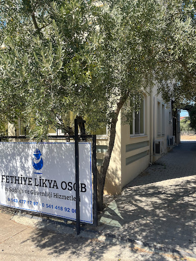 FETHİYE LİKYA OSGB İŞ SAĞLIĞI VE GÜVENLİĞİ HİZMETLERİ LTD.ŞTİ.