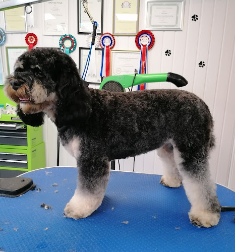 Posh Dog Pet Grooming - Dog trainer