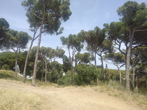 Parc can santinyà