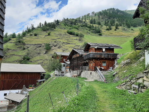 Hofschank Wald - Thumbnail