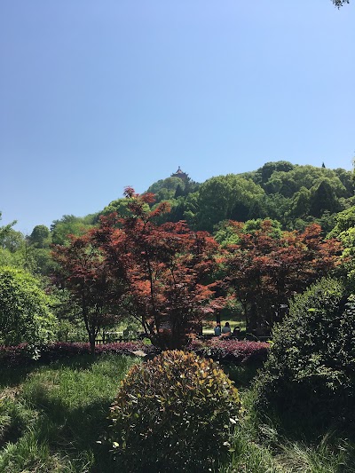 Photos of Linwudong Scenic Area