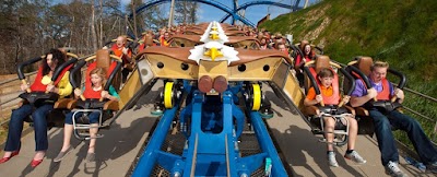 Photos of Wild Eagle