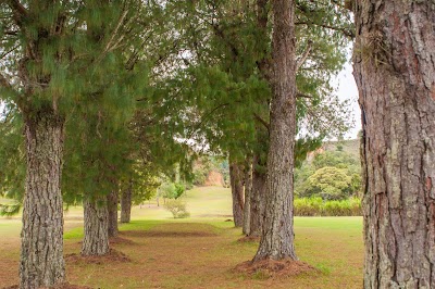 Photos of Club Campestre de Popayan