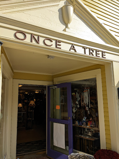 Once A Tree - Visual