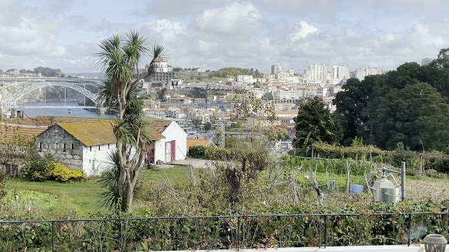 Avaliações doVinum em Porto - Restaurante